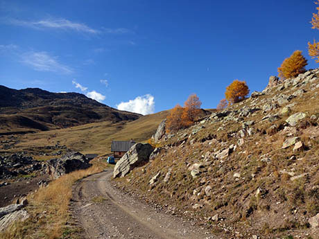 piste de l'Alp l'été