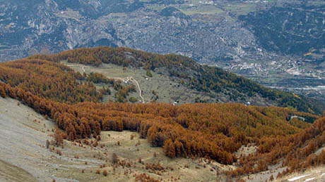 piste pastorale aus Grands Pr+®s