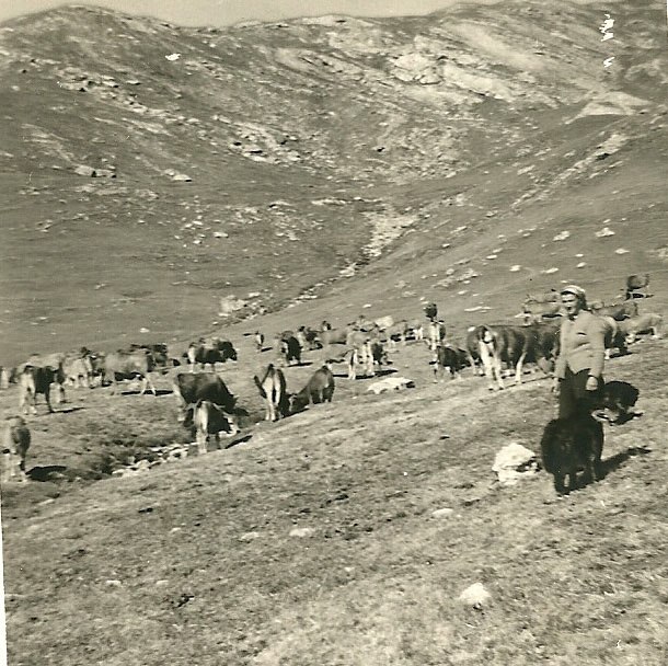 Germainejuillet1962 (2)