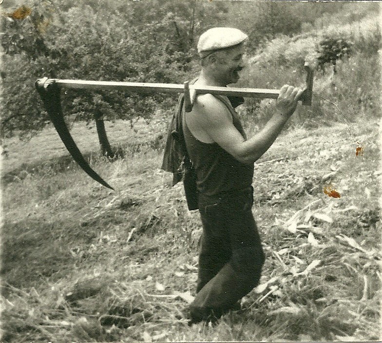 troupeau des chèvres de Pinfol