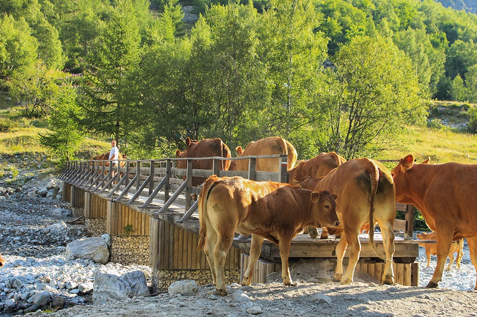 a-alain-fassetta-cabane-du-jas-lacroix-1
