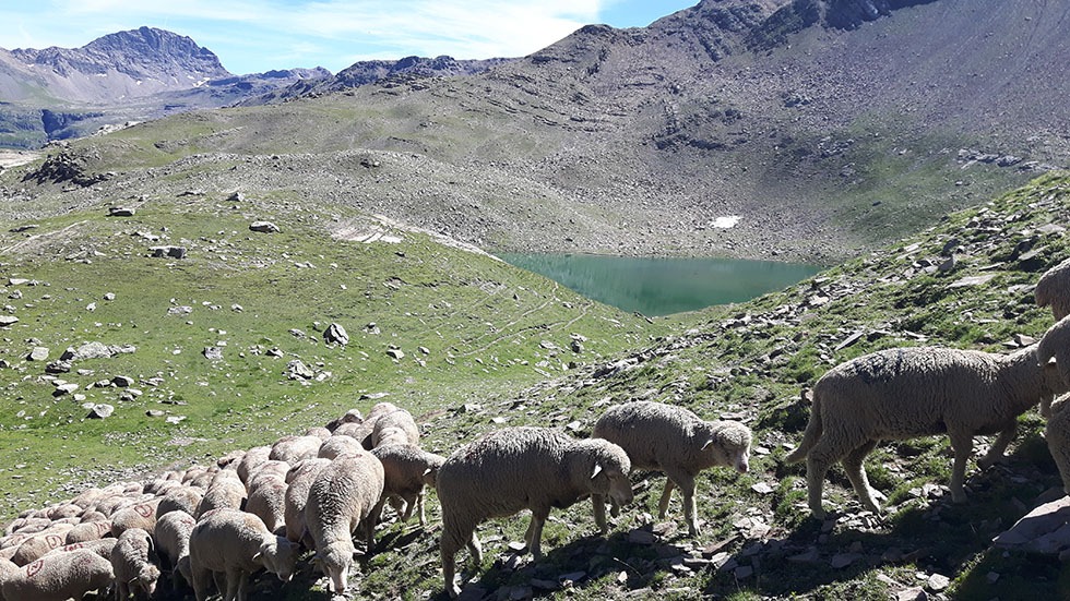 a-marie-catherine-boaglio-lac-de-palluel-2