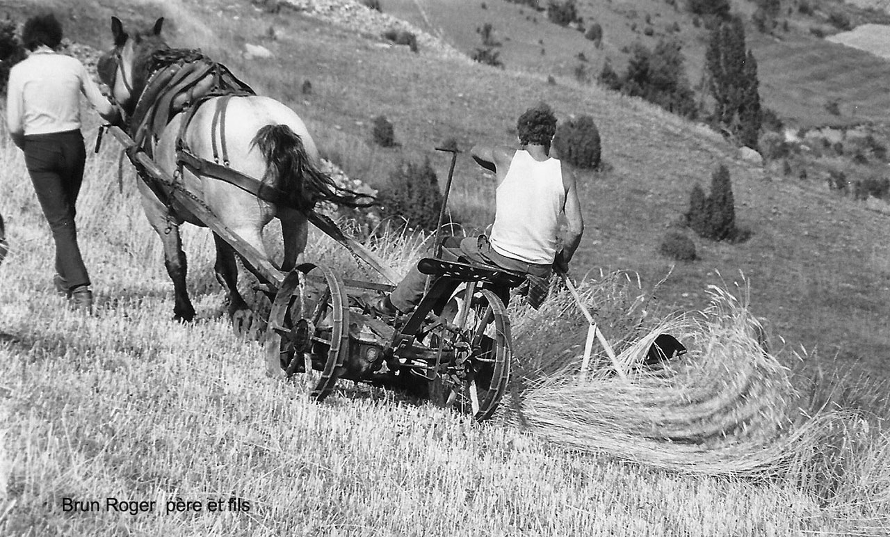 moisson-4-roger-brun-epre-et-fils-copie