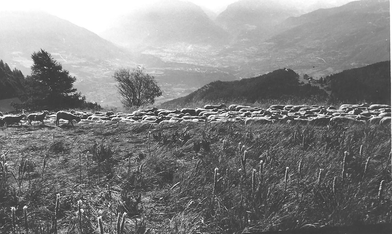 Arrivée aux Grands Prés. (Ph.Claude Bouvet)