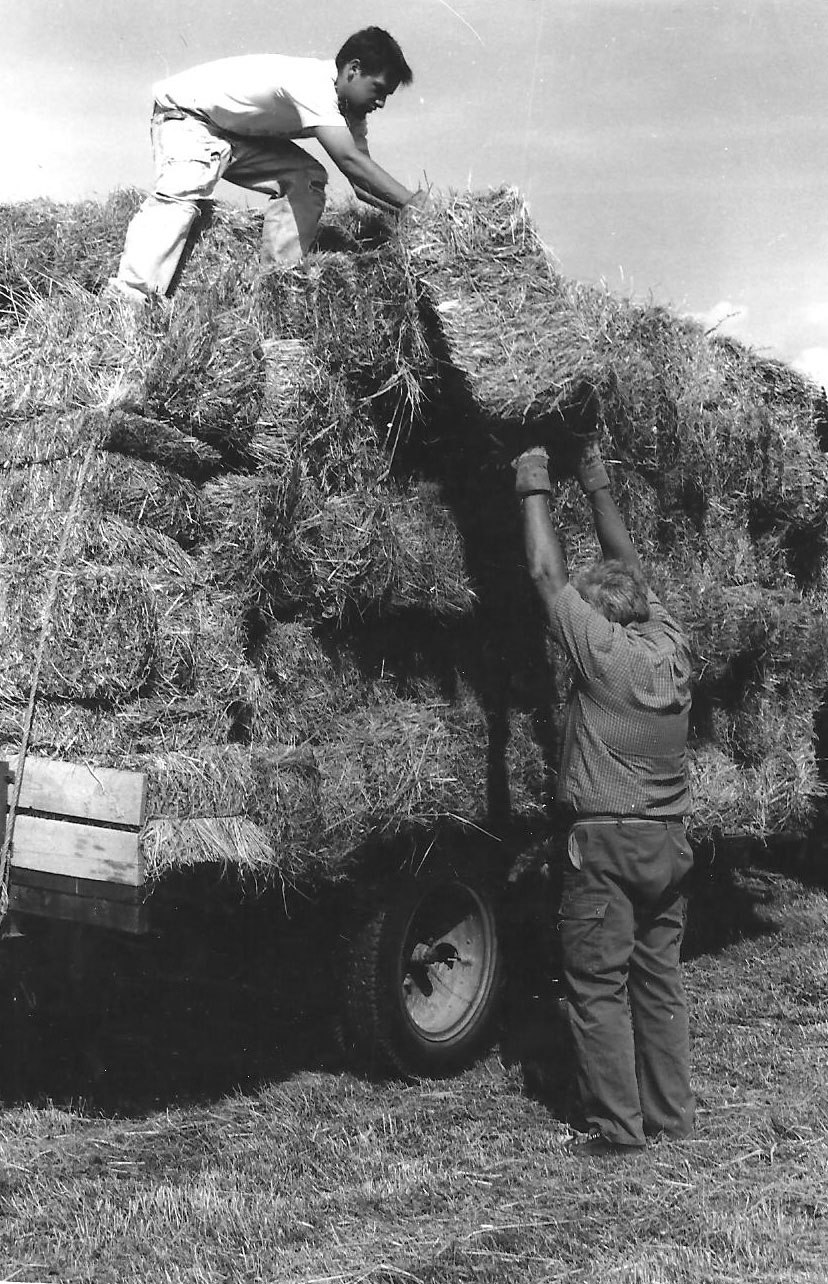 Les foins c’est une affaire de famille : chacun sa place.(Ph. Claude Bouvet)