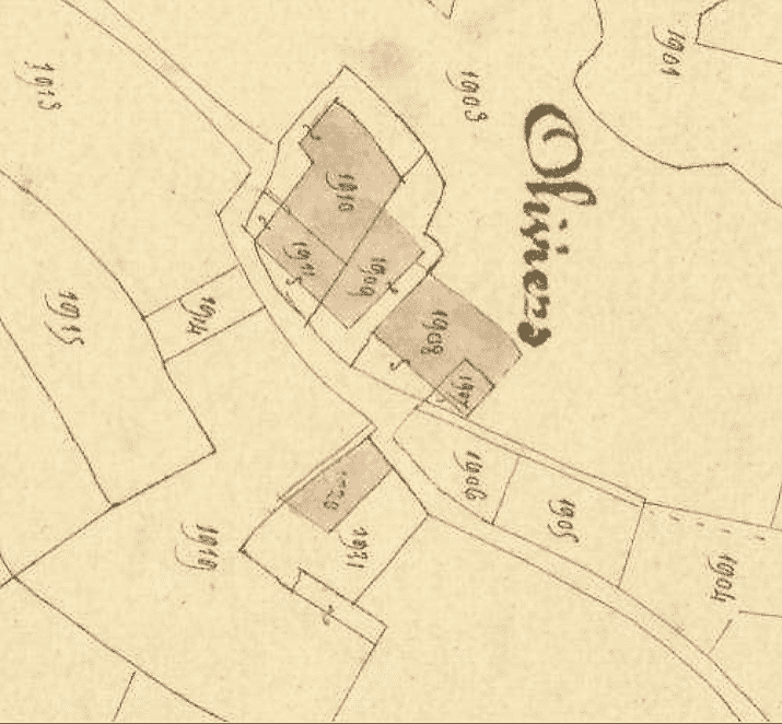 le bâti des Oliviers