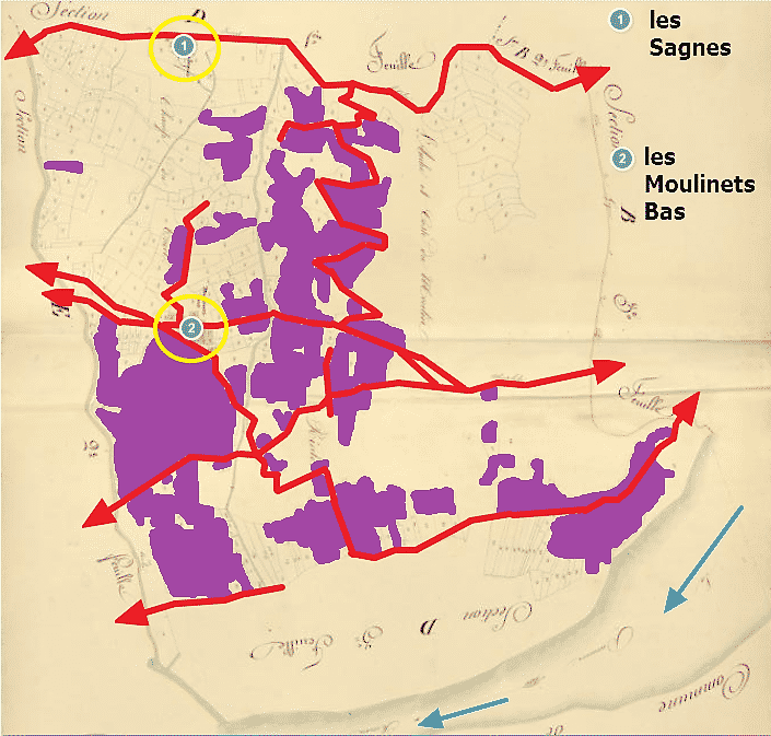 le vignoble des Moulinets Bas