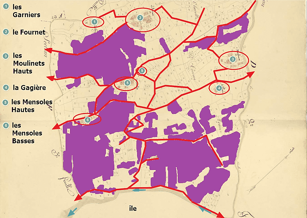 le vignoble des Mensoles