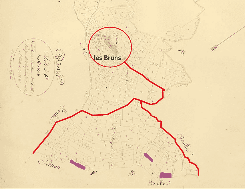 premières vignes sous les Bruns