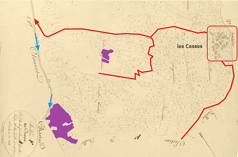 premières vignes sous les Casses